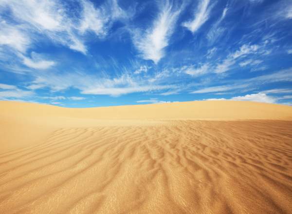 shutterstock_66624067