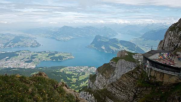 lucerne