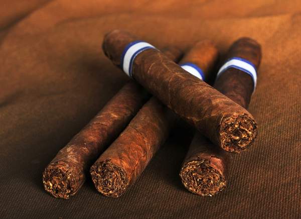 cigara