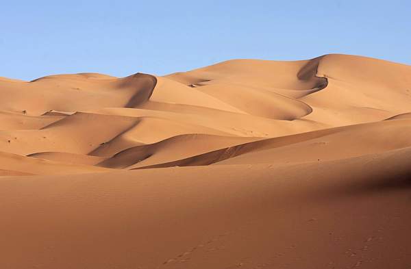 sahara
