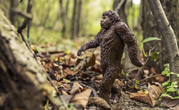 Bigfoot
