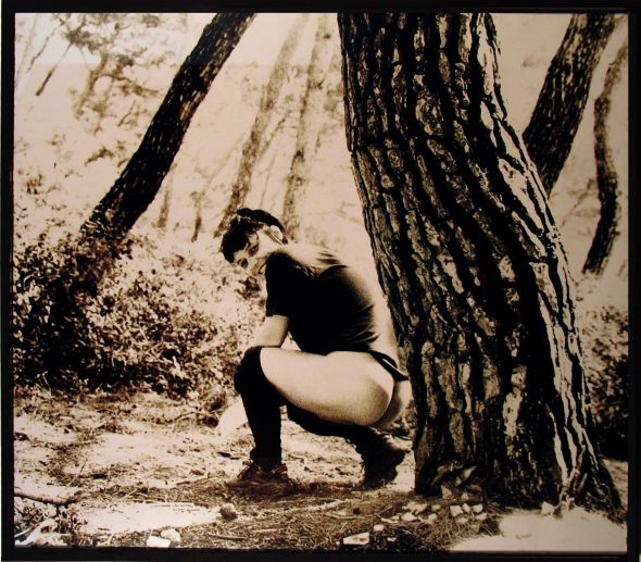 vlasta-delimar-ciklus-krivnja