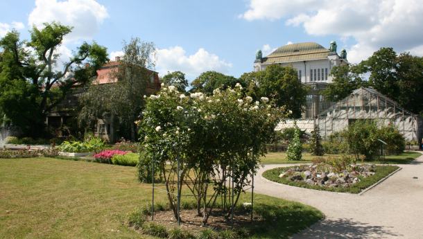 botanicki-vrt-zagreb-02