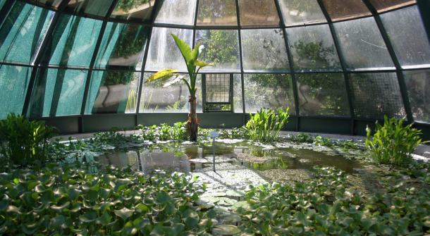 botanicki-vrt-zagreb-03