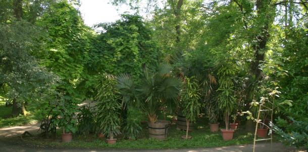 botanicki-vrt-zagreb-04