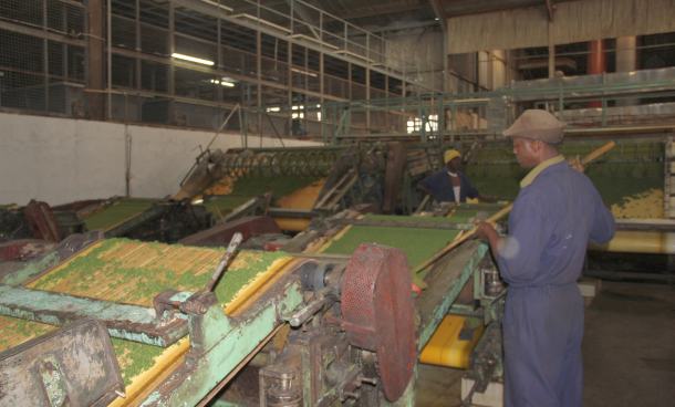 tvornica-caja-proizvodnja