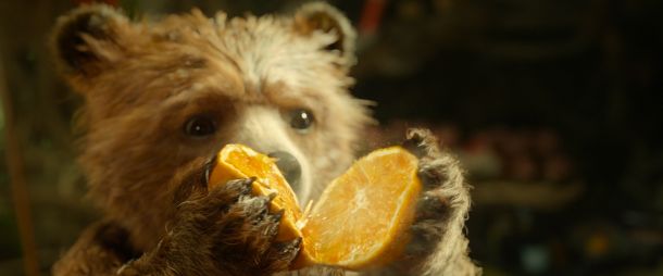 medvjedic-paddington-1
