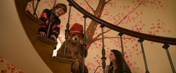 medvjedic-paddington-3