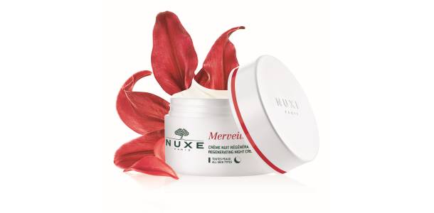 merveillance-expert-nuit-1