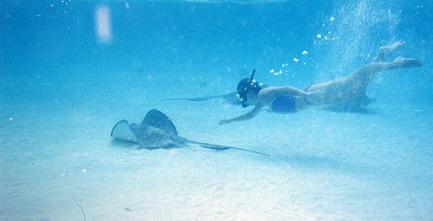 stingray-city-11