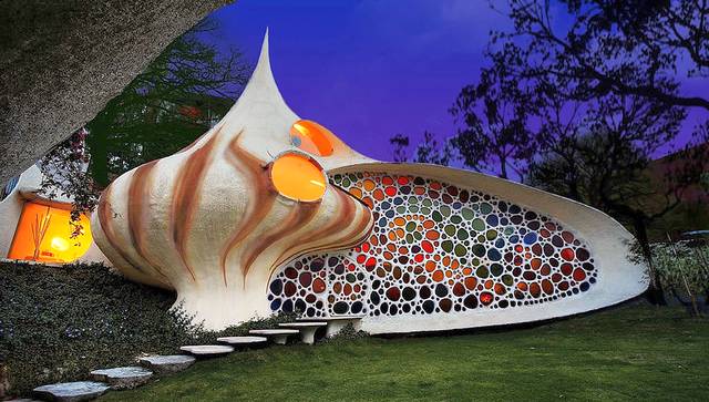 nautilus