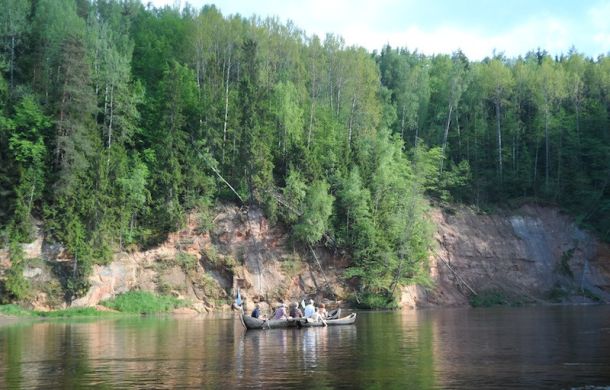 gauja