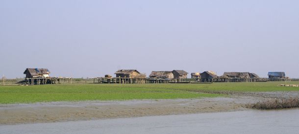ramree