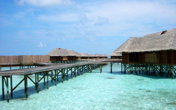 maldivi