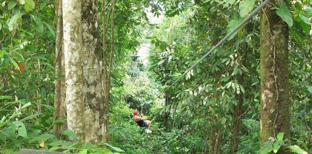 zipline-3