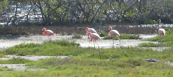 bonaire-5
