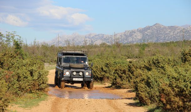 Safari