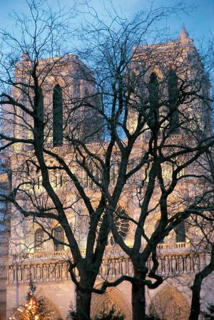 notre-dame-domijan