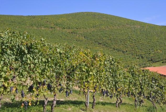 wow-studijsko-putovanje-3