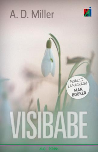 visibabe-1