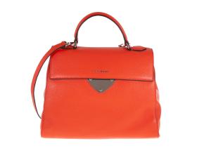coccinelle-2
