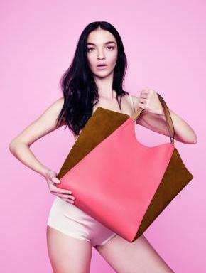 coccinelle-4