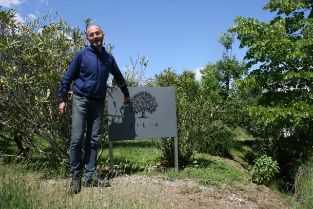 Tilija