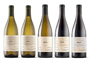 burja-vina