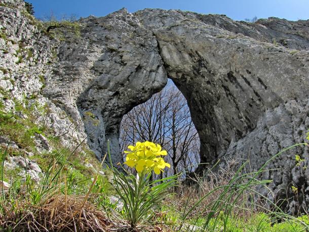 otlisko-okno