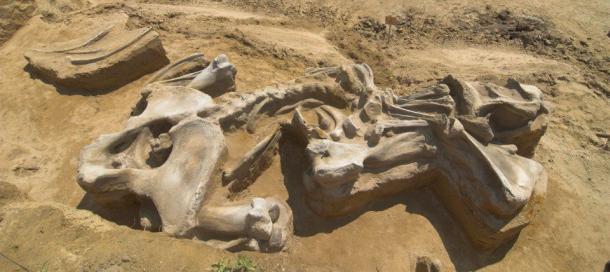 viminacium-mamut-groblje-1