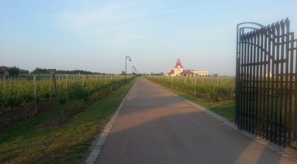 vinarija-zvonko-bogdan-4