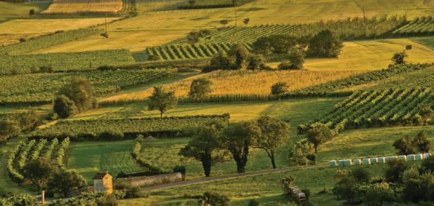 vipava-21