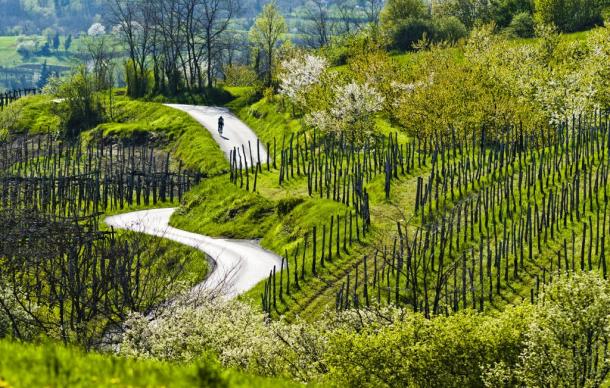 vipava-23