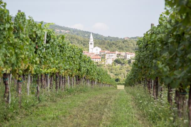 vipavska-dolina-1