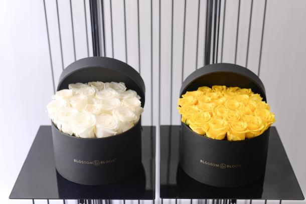 blossom-bloom-1