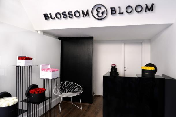 blossom-bloom-5