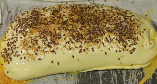 dizano-tijesto-puretina-3