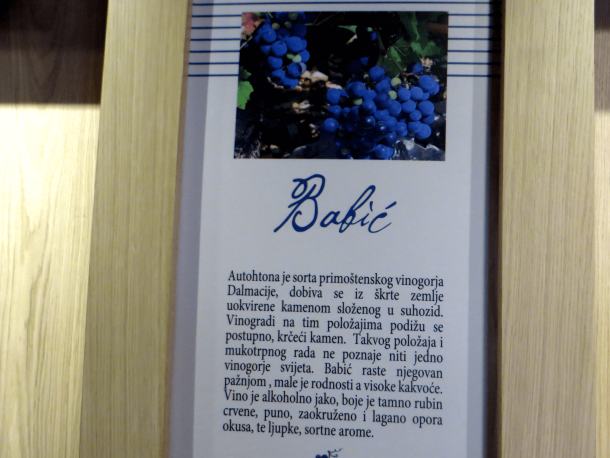 vinotel-gospoja-4