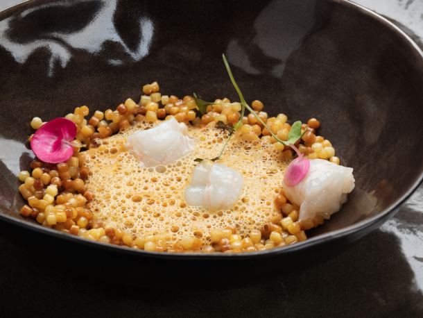 veloute-od-lisicarki