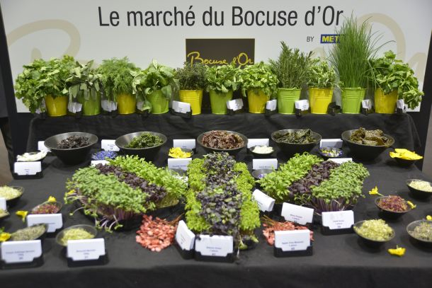 bocuse-d-or-1