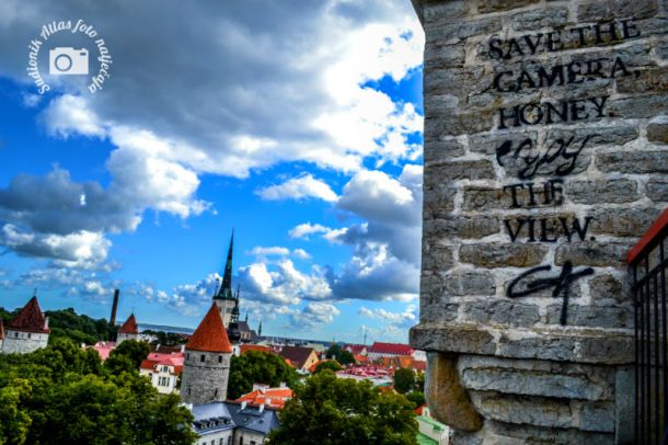 tallin-5