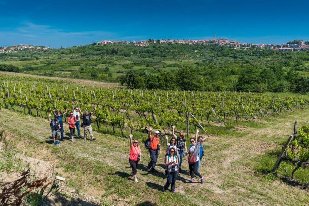 istria-wine-and-walk-1