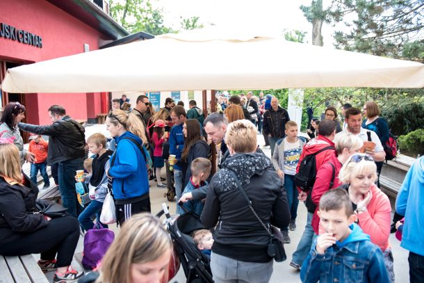 zekanje-zoo-3