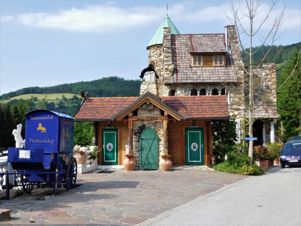 kobilje-mlijeko