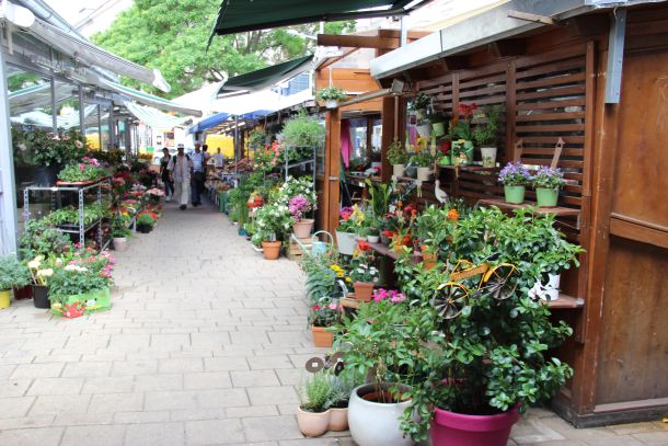 kutchkemarkt-1