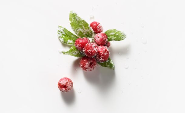 energie-de-vie-cranberry