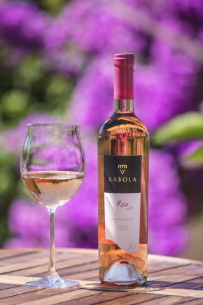 kabola-rosa-2016-1