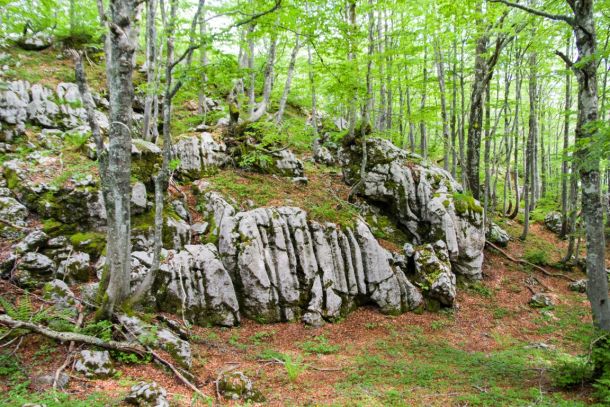 velebit-highlander-3
