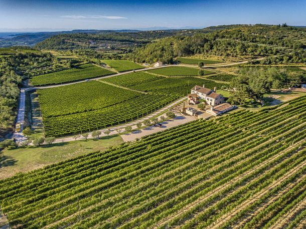 vinarija-kabola-2