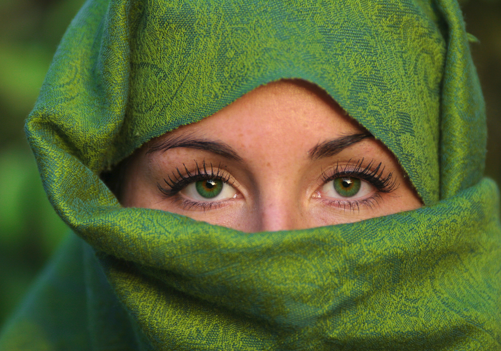 shutterstock_12825325